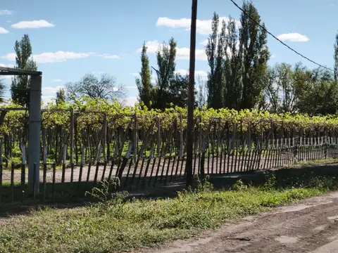 FINCA EN SANTA ROSA EXCELENTE ESTADO