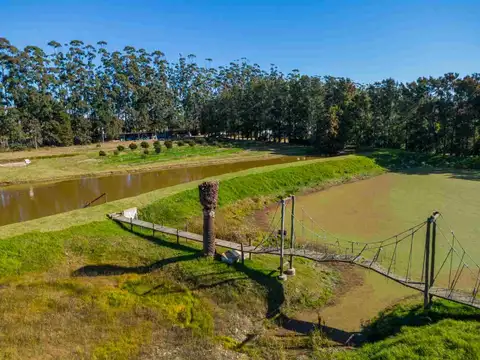 VENTA DE CHACRA 20 has EN PUNTA ESPINILLO