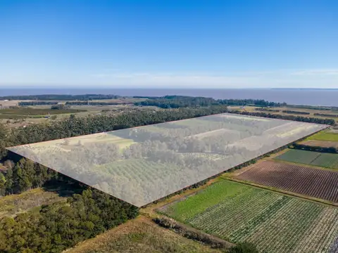 VENTA DE CHACRA 20 has EN PUNTA ESPINILLO