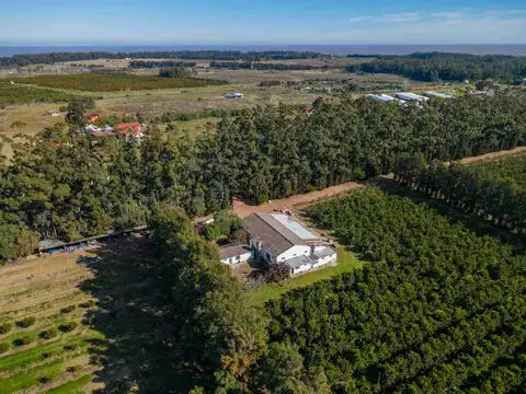 VENTA DE CHACRA 20 has EN PUNTA ESPINILLO