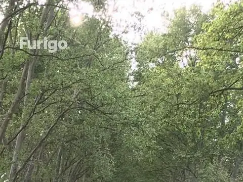 Av. Cristo Rey, a 600 m de Av. Alberdi 100