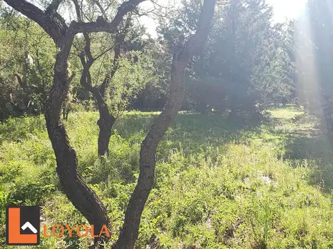 Terreno en Venta, FOS 30