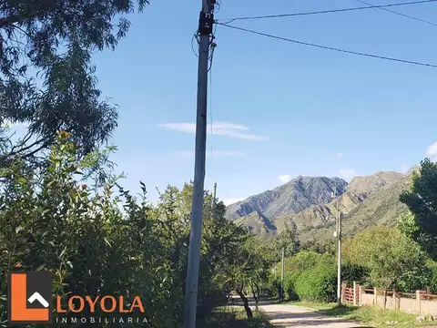 El Zorzal 200