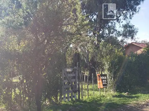 El Zorzal 200