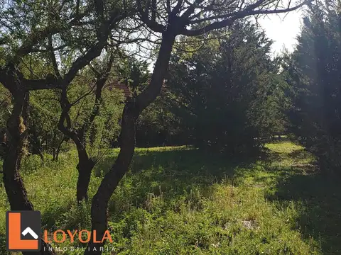 Terreno en Venta en Rincón Del Este, USD 48.000