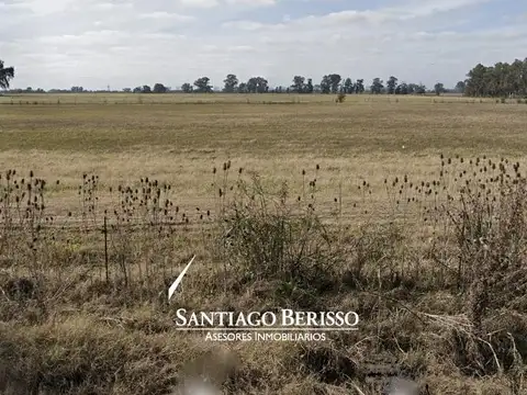 Campo en La Reserva Cardales