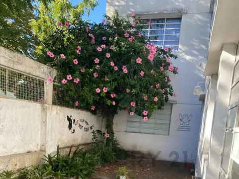 Casa de 3 dormitorios en Alquiler