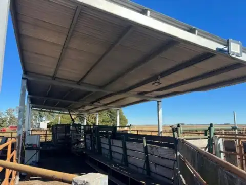 Campo en venta - 10.030.000Mts2 - Tres Arroyos