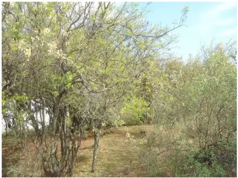 Terreno en Venta de 1250,0 m2