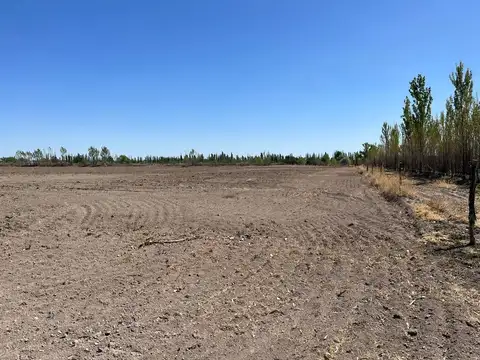 Finca en Venta San Rafael Mendoza