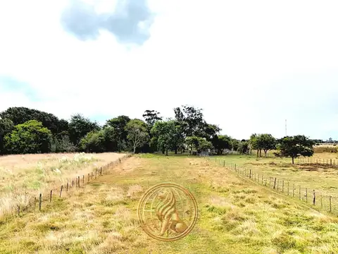 Terreno en Venta 200  mts Fondo