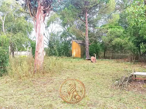Venta Terreno de 4.600 m² en Madariaga a 150 Mts. de la Ruta 74