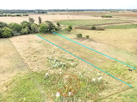 Venta Terreno de 4.600 m² en Madariaga a 150 Mts. de la Ruta 74