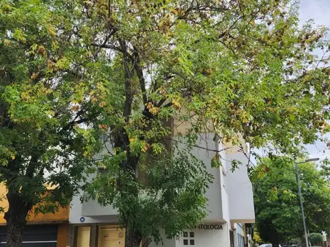 8 Esquina 71