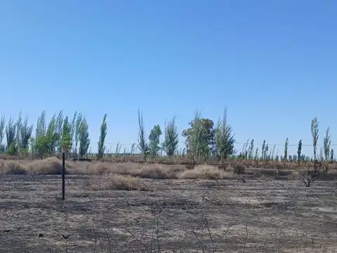 Terreno en Venta de 6000,0 m2