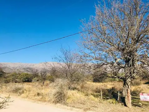 Terreno en Venta de 25000,0 m2