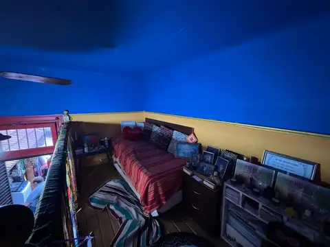El Hornero 100