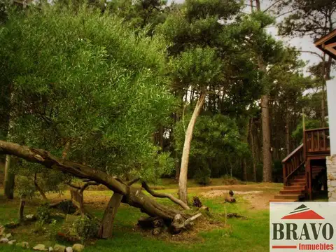 Fondo de comercio en venta ubicado en Las Gaviotas