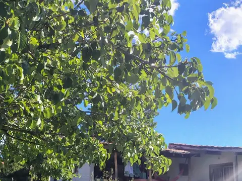 Casa en Venta al Sur