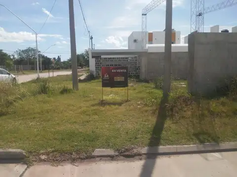 Roberto Collino al 100