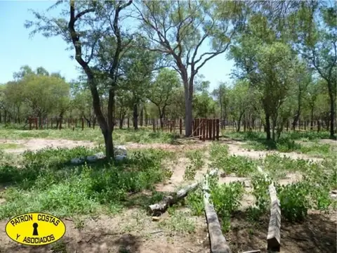 0622HP-venta campo Talavera salta