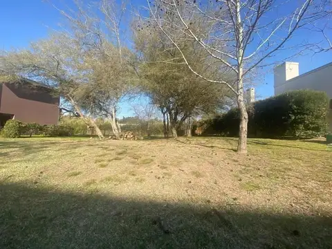 Fincas De Iraola 2 M2