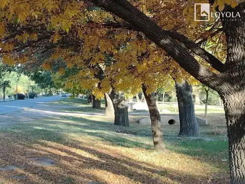 Terreno en Venta, FOS 30