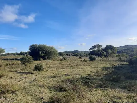 ruta12