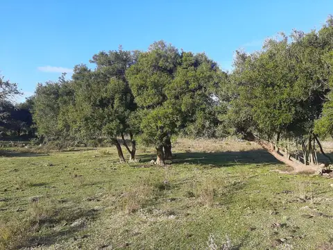 Chacra de 14ha Pueblo Eden