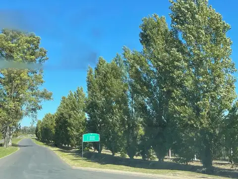 Terreno Lote  en Venta ubicado en Santa Elena, Pilar del Este, Pilar