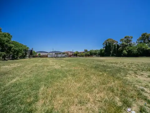 Terreno en Venta 145  mts Fondo