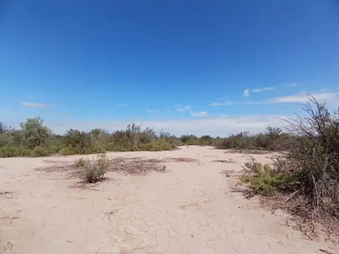 VENTA TERRENO 10 HECTARIAS LAVALLE