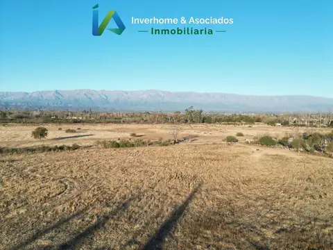 Campo en Venta Agrícola