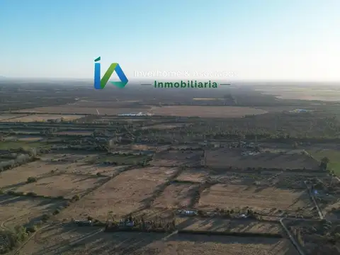 Campo en Venta Agrícola