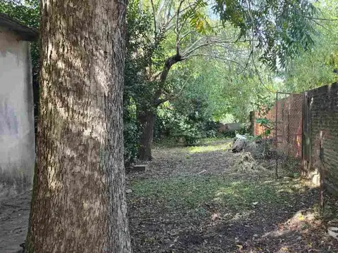 LOCAL Y CASA A REFACCIONAR SOBRE LOTE GRANDE