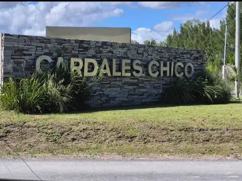 Casa Quinta  en Alq. Temporario en Alto Los Cardales, Campana, G.B.A. Zona Norte
