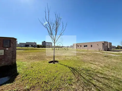 Terreno en Venta de 780,0 m2