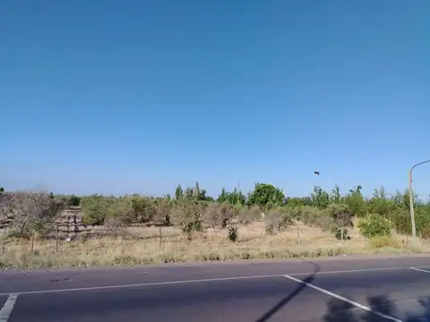 Terreno en Venta de 2000,0 m2