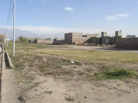 Terreno en Venta en Eugenio Bustos Valle de Uco