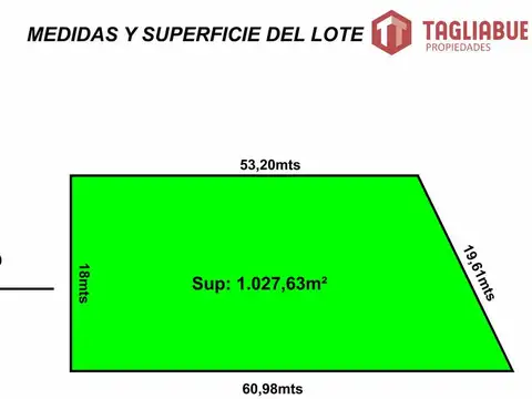 TIERRA MIA - LOTE 85