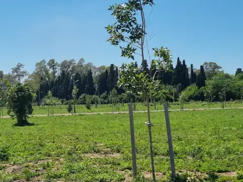 Av. Republica Argentina y Zeballos