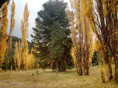Terreno en Venta en Meliquina, USD 180.000