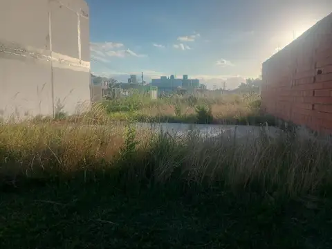El Manzano 2100