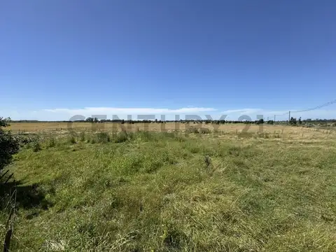 Alquiler Campo 5 hectareas Mar del Plata