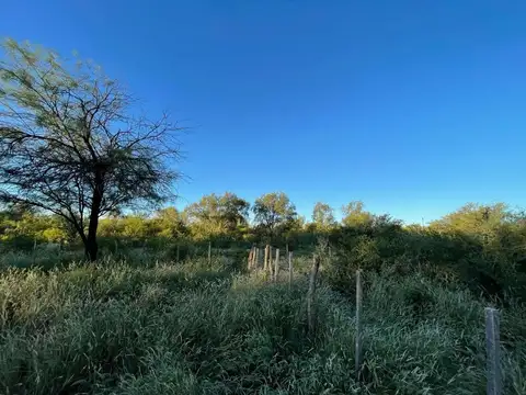 CAMPO MIXTO 346 ha - RUTA NACIONAL 38 CRUZ DEL EJE