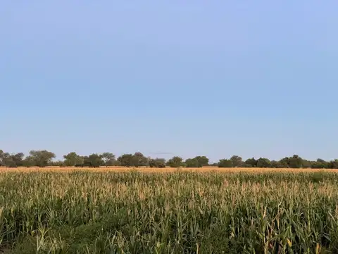 Ruta Nacional 38