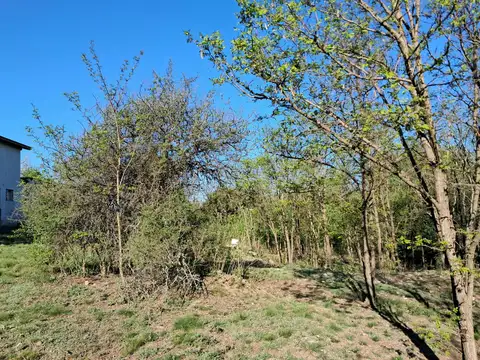Terreno en Venta 47  mts Frente