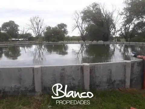 NUEVA GALIA - SAN LUIS 100