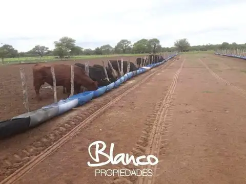 NUEVA GALIA - SAN LUIS 100