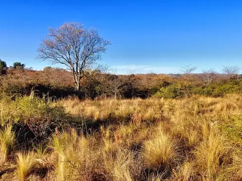 Lote en venta 625 m² con escritura en Capilla Vieja, Los Reartes, Calamuchita